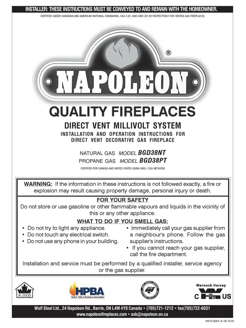 Napoleon BGD38NT Installation and operation instructions Napoleon BGD38NT Installation and operation instructions