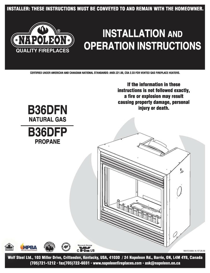 Napoleon B36DFP User manual