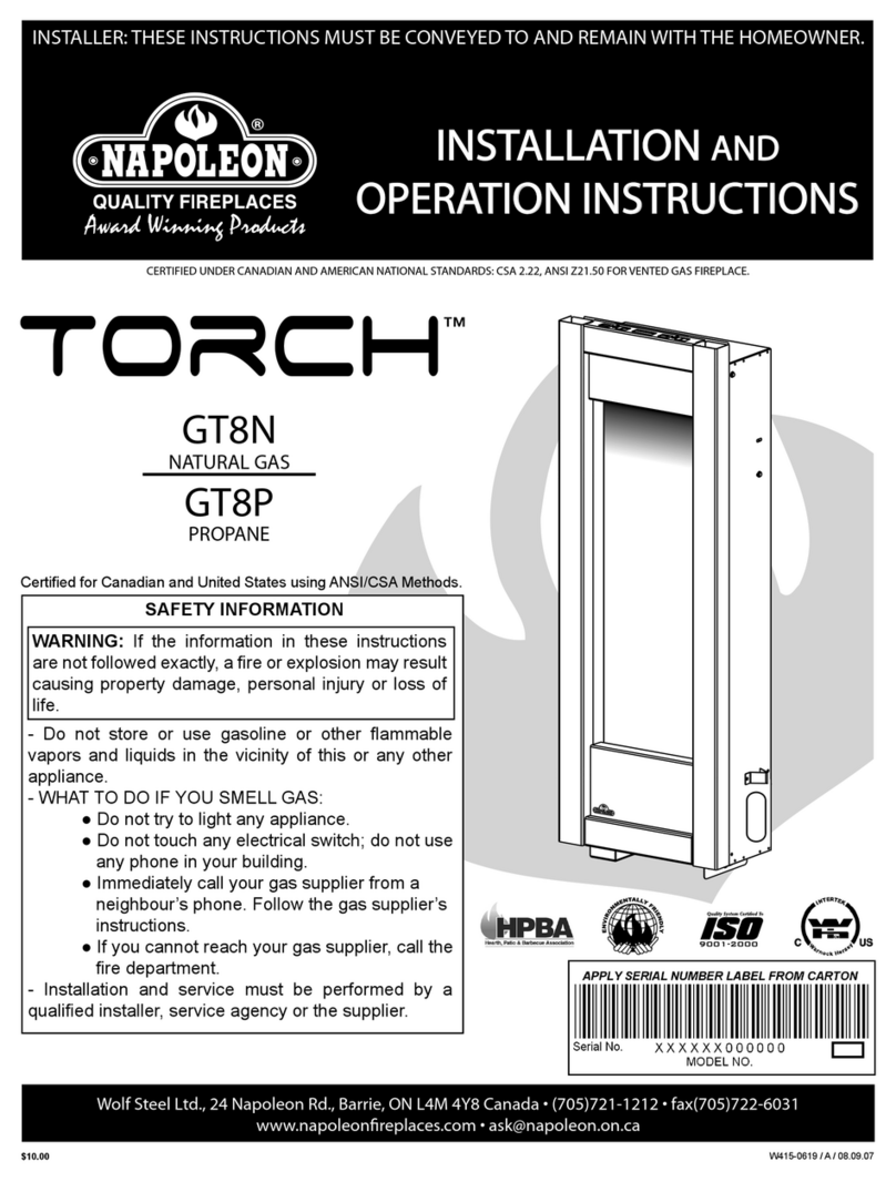 Napoleon TORCH GT8N User manual