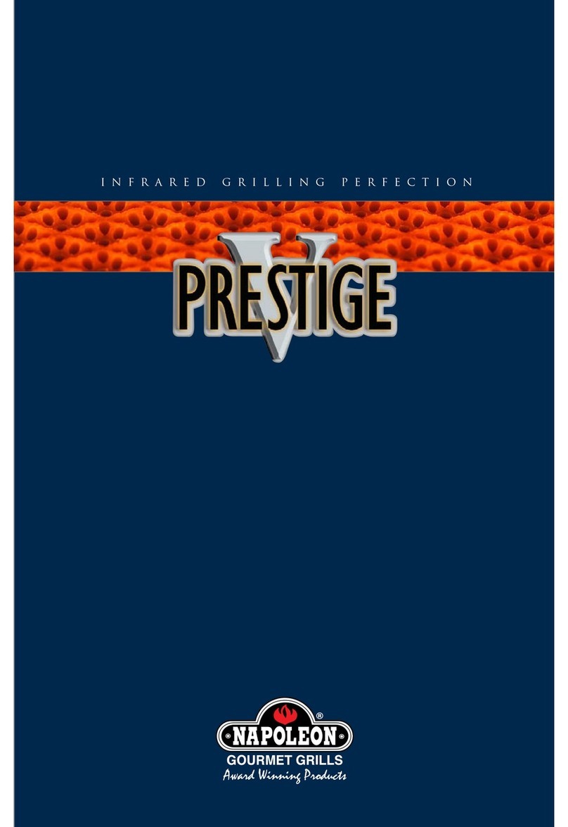 Napoleon VPrestige PF450 User manual