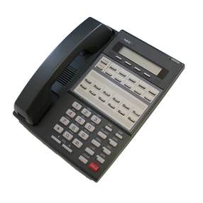 NEC DS1000/2000 User manual