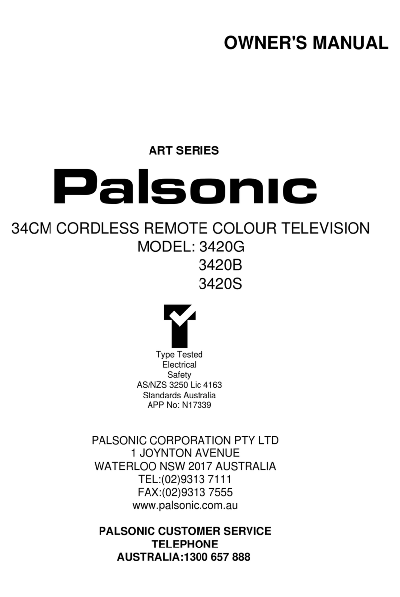 Palsonic 3420B User manual