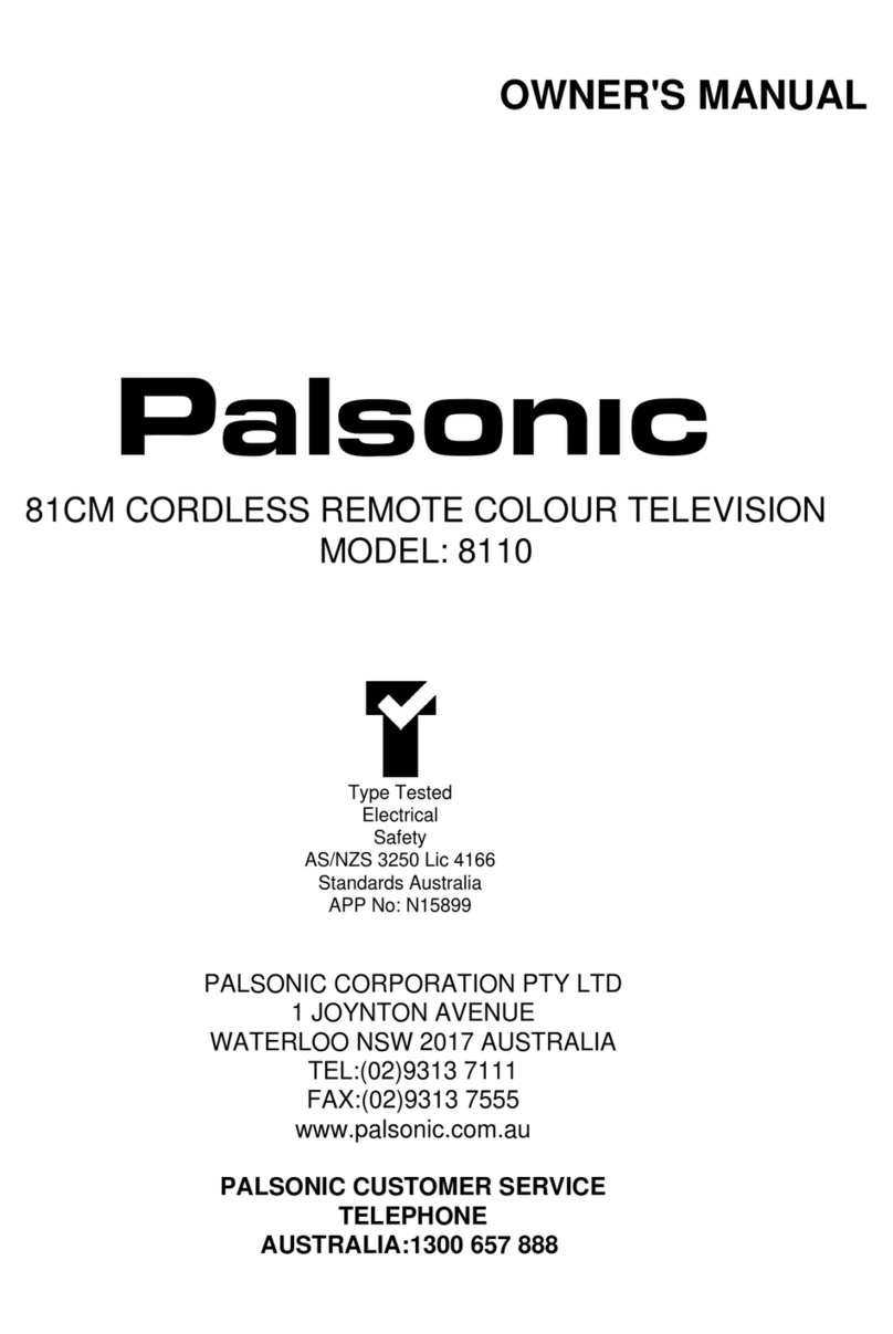 Palsonic 8110 User manual