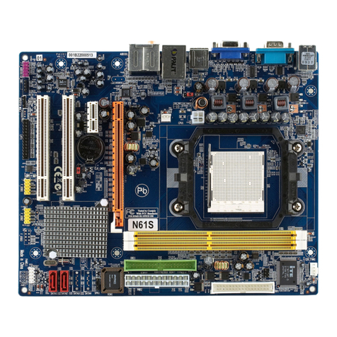 Nvidia N61P User manual