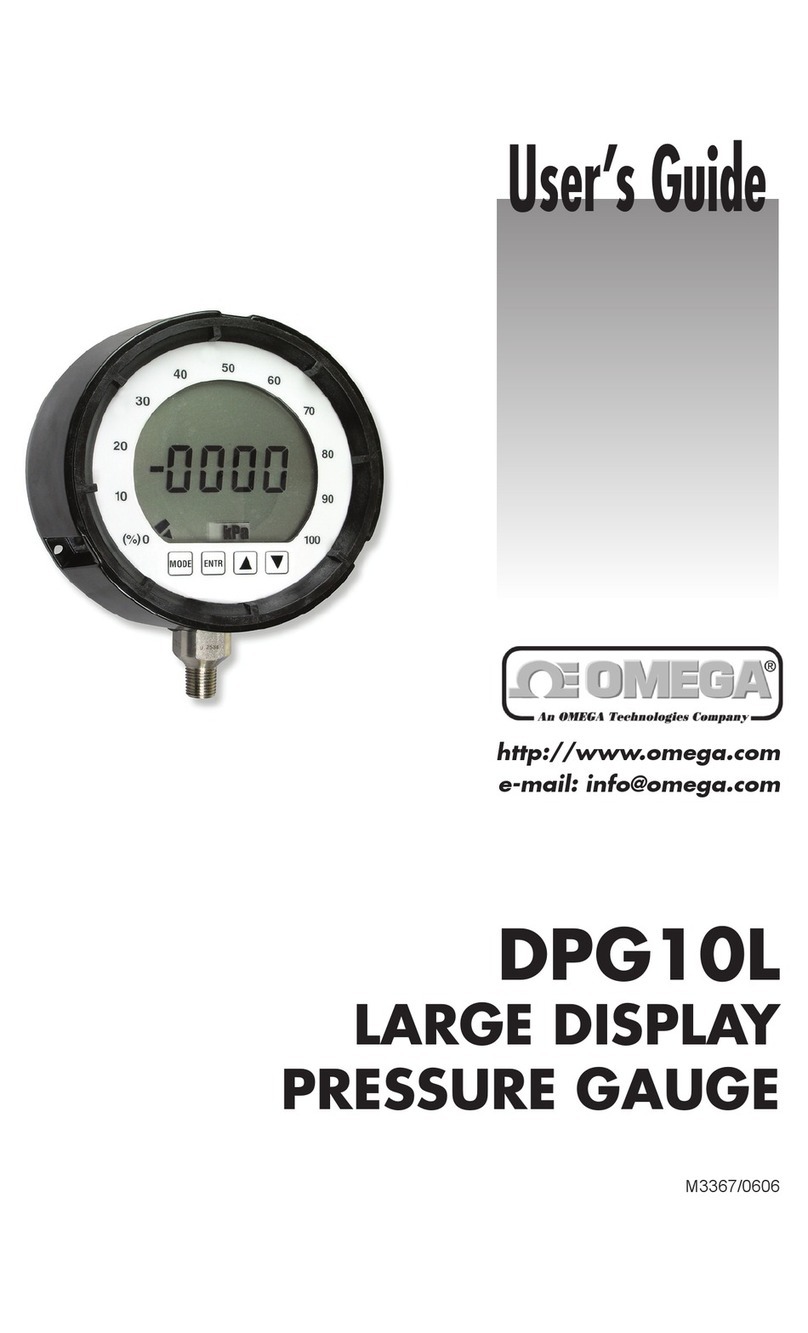 Omega Engineering DPG10L User manual