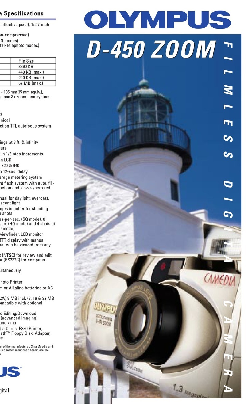 Olympus D-450 Zoom Brochure & specs