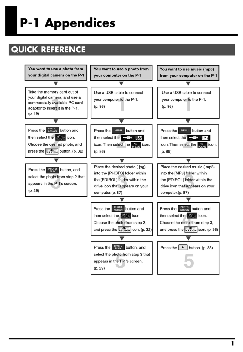 Edirol P-1 reference guide