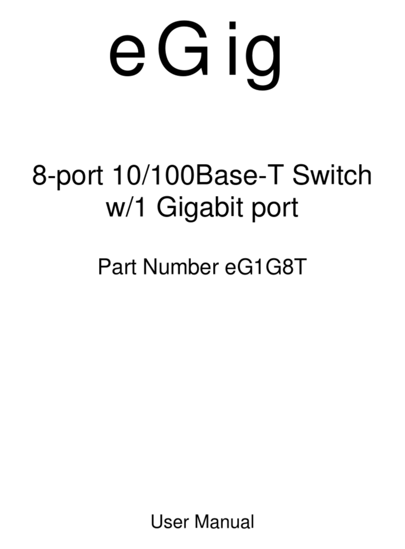 EGig eG1G8T user manual