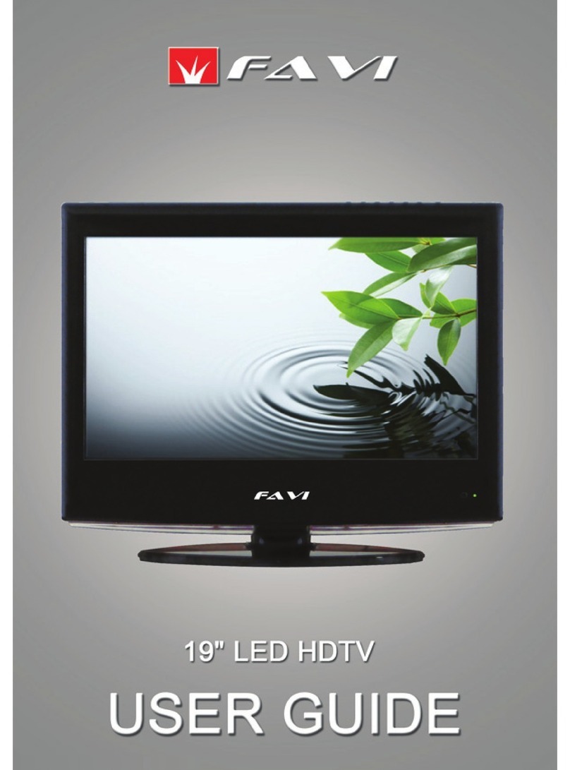 FAVI F19BL-TV user guide