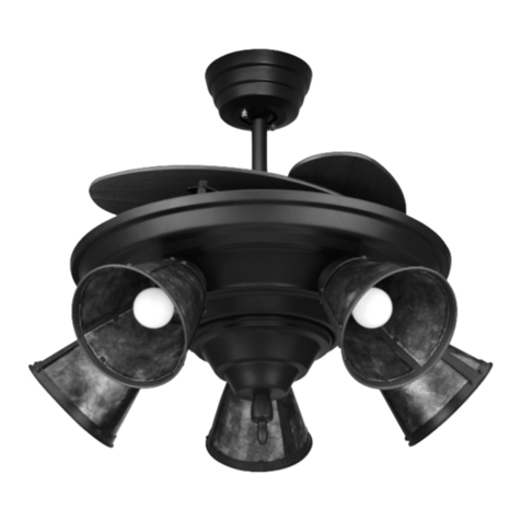 Fanimation Air Shadow FB8250B User manual