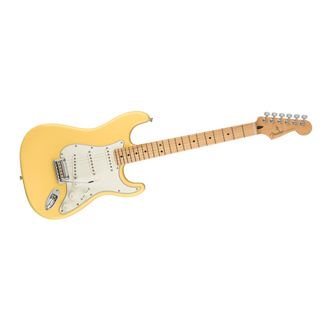 Fender Ronald Mex Stratocaster Assembly