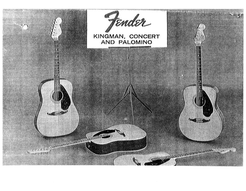 Fender Palomino user guide