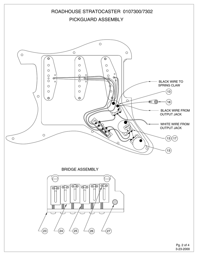 Fender Roadhouse Stratocaster User manual