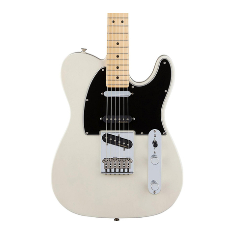 Fender Nashville Power Assembly