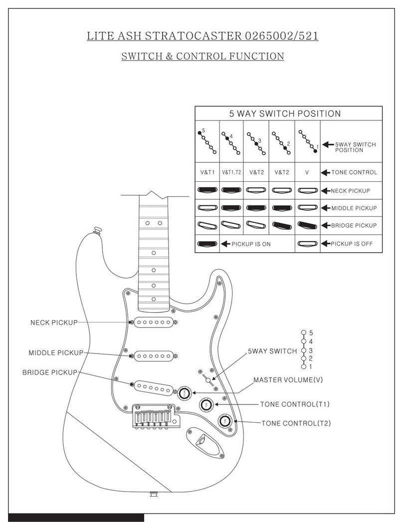Fender Lite Ash Stratocaster Function guide