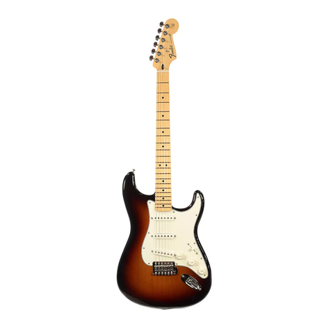 Fender Standard Stratocaster parts list