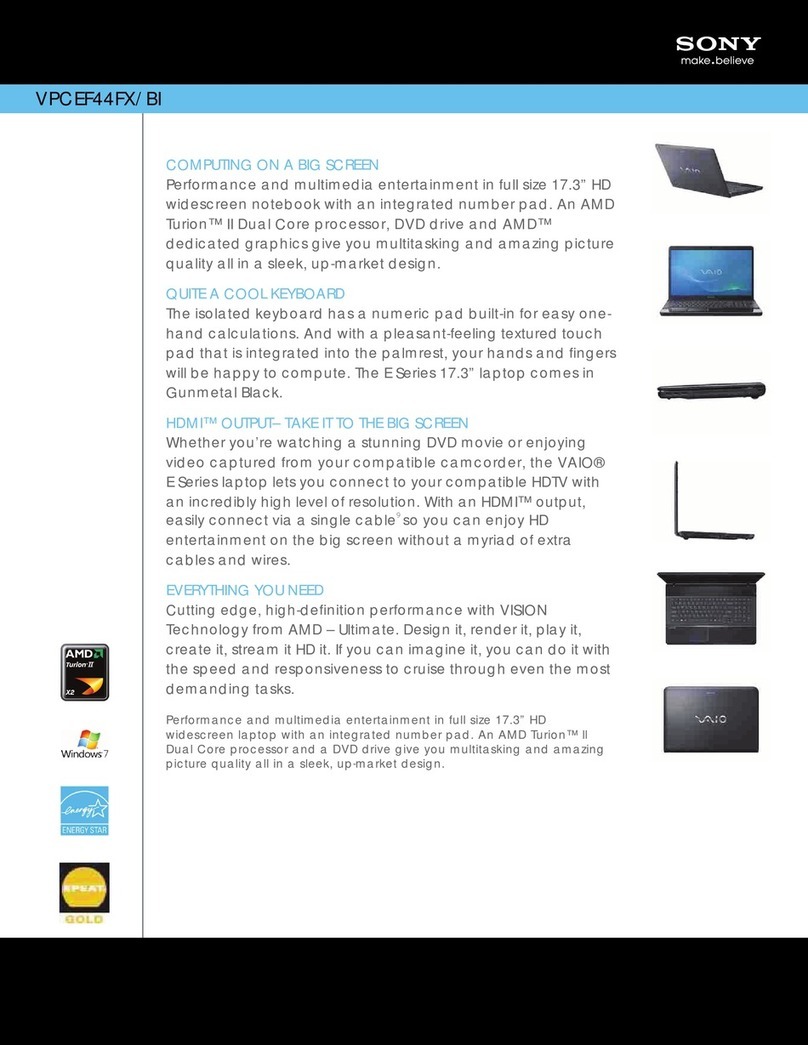 Sony VPCEF44FX Specification sheet