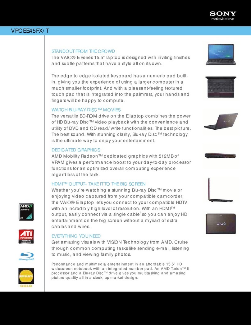 Sony VAIO VPCEE45FX/T Specification sheet