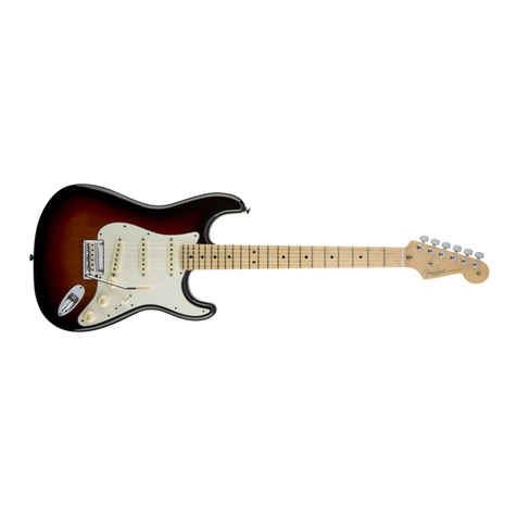 Fender American Standard User manual