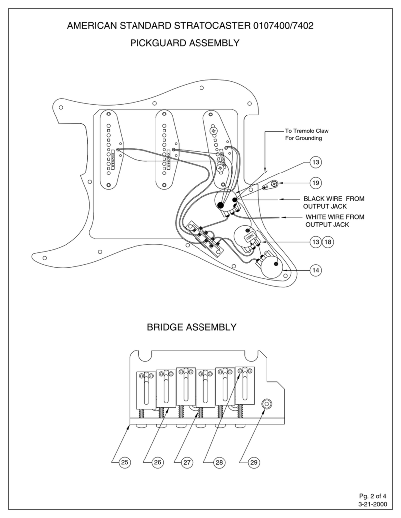 Fender American Standard Stratocaster Assembly