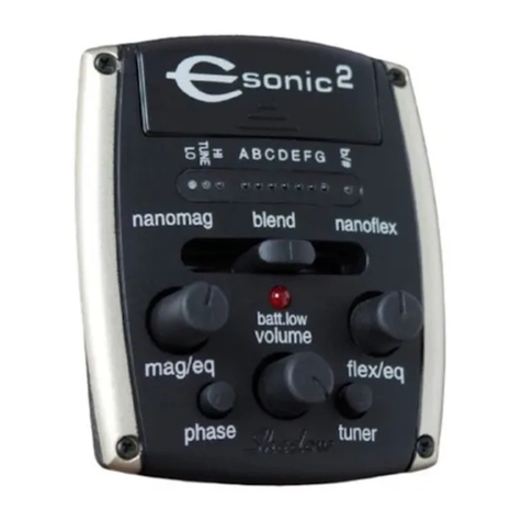 Epiphone eSonic manual