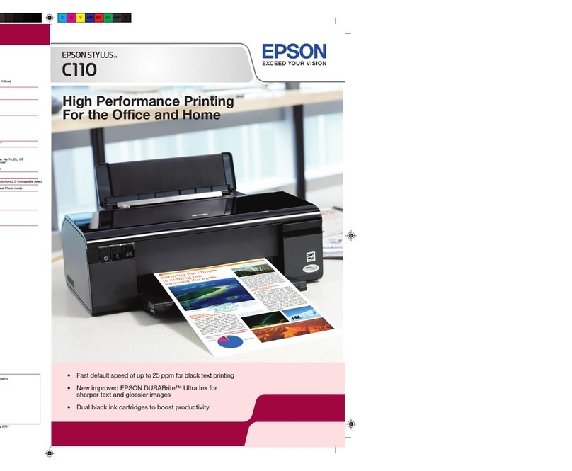 Epson Stylus C110 User manual