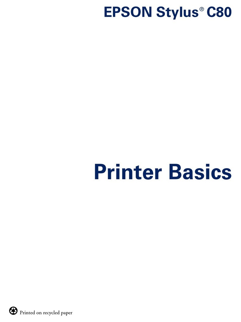 Epson Stylus Color C80 Installation guide