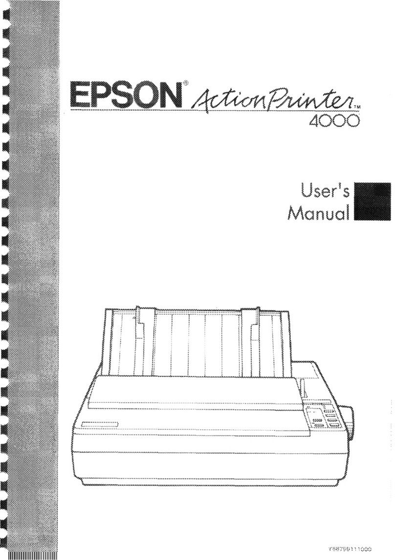Epson ActionPrinter 4000 User manual