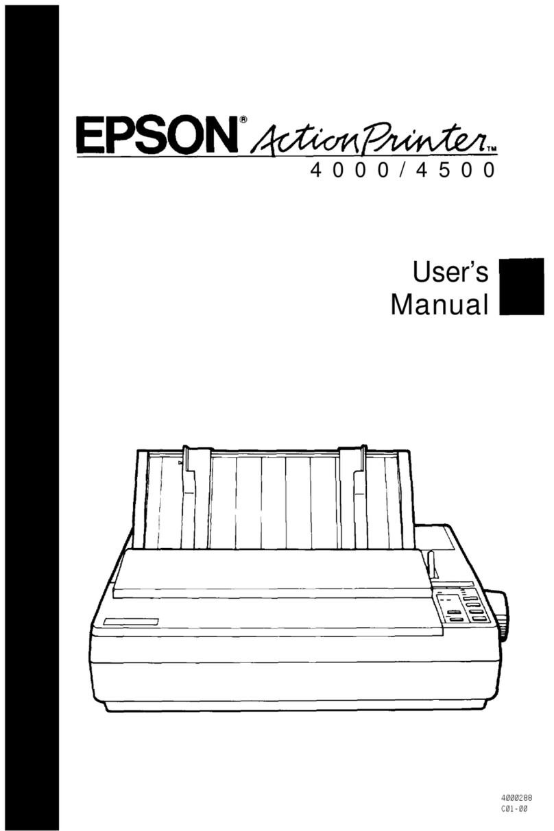 Epson ActionPrinter 4000 User manual
