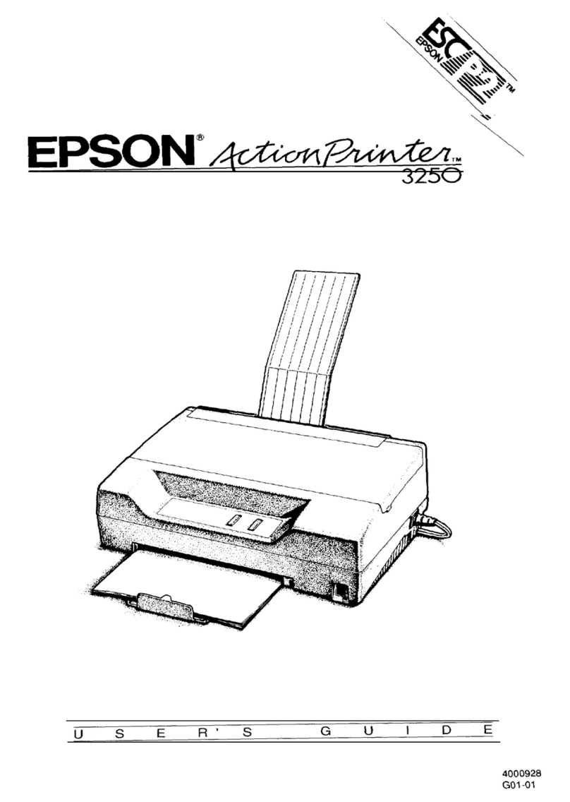 Epson ActionPrinter 3250 User manual