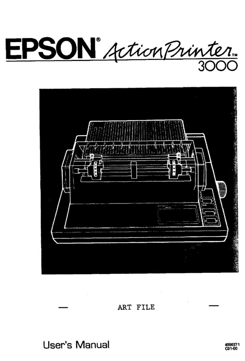 Epson ActionPrinter 3000 User manual