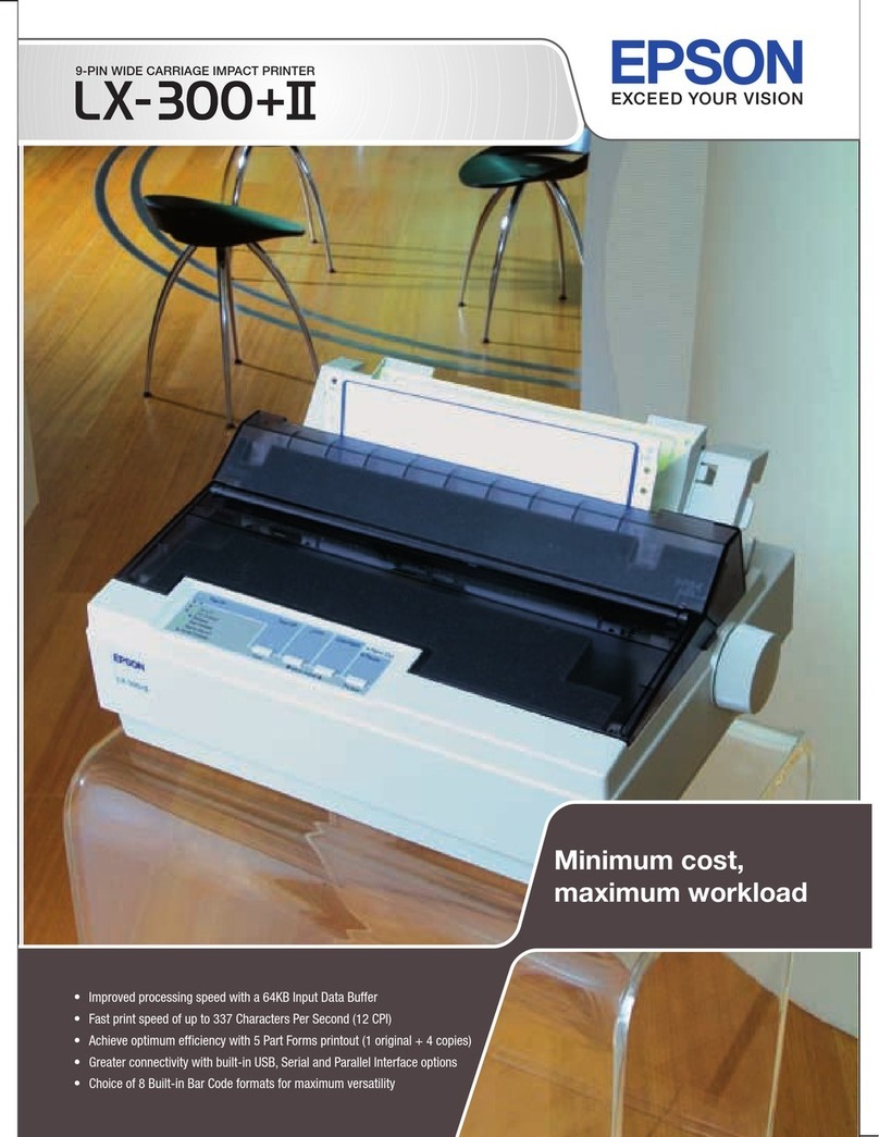 Epson LX-300+II RTP User manual