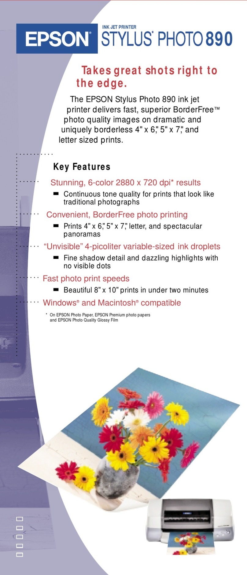 Epson Stylus Photo 890 User manual