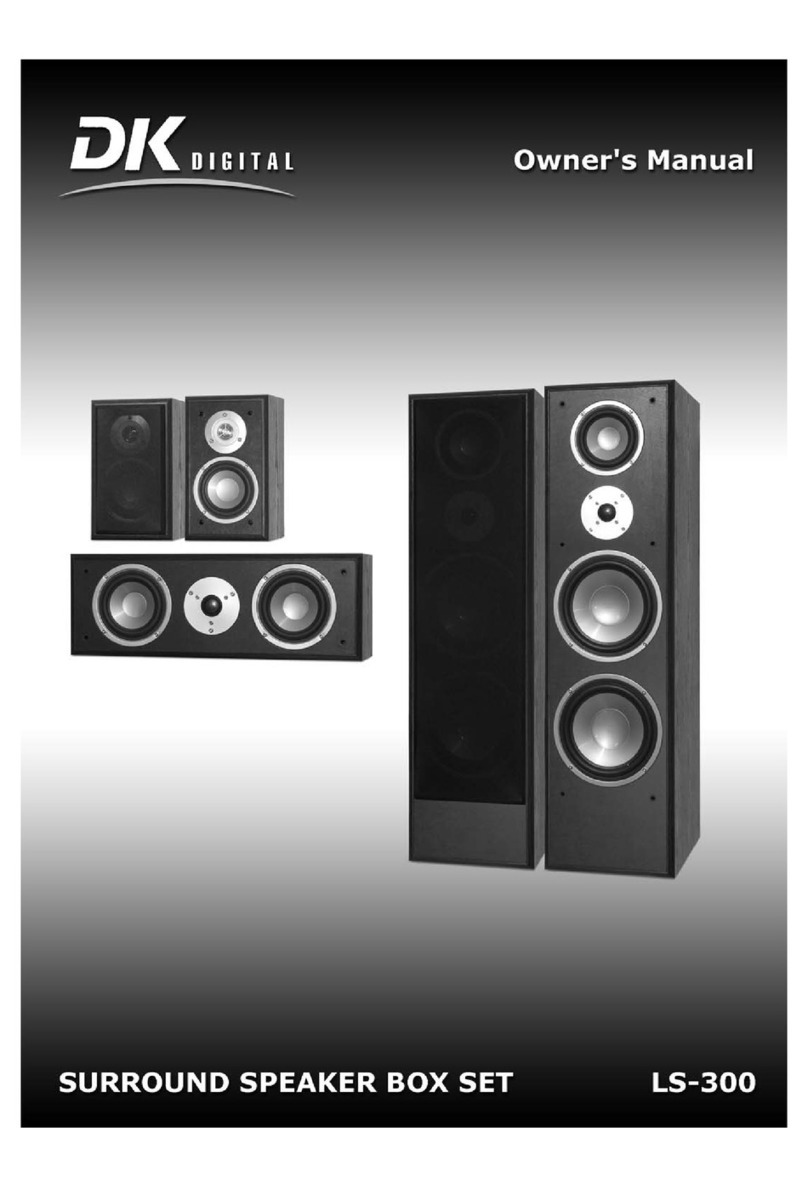 DK Digital LS-300 User manual