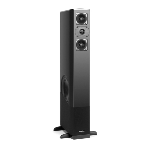 Definitive Technology C/L/R 2300 User manual Definitive Technology C/L/R 2300 User manual