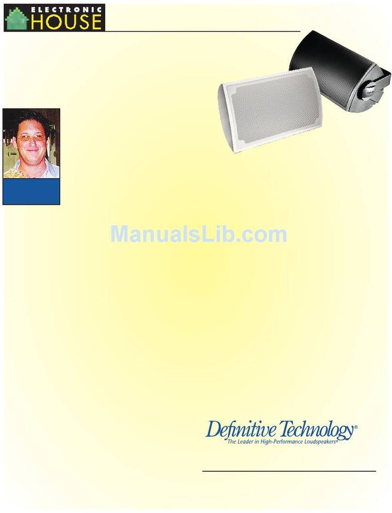 Definitive Technology AW100 brochure