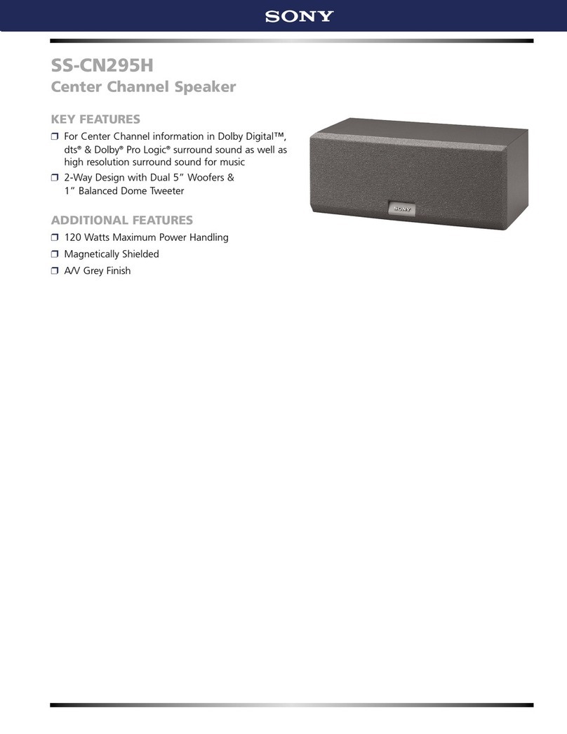Sony SS-CN295H Marketing datasheet