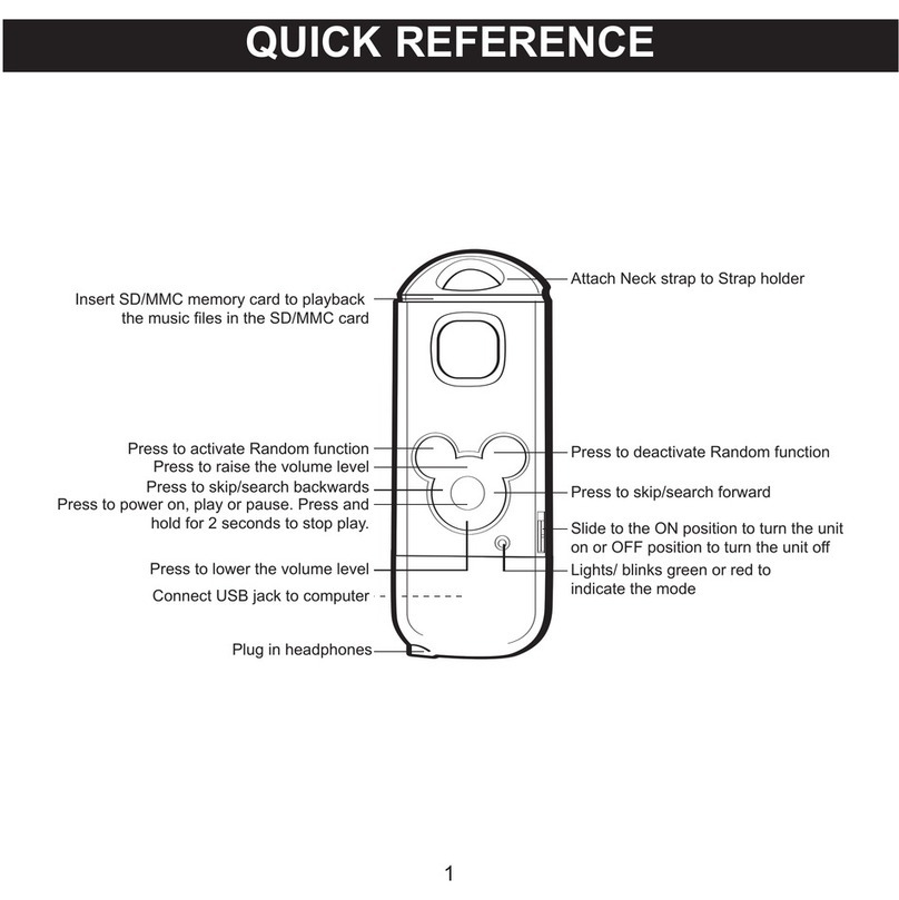Disney Mix Stick DDA8040-CHR quick reference