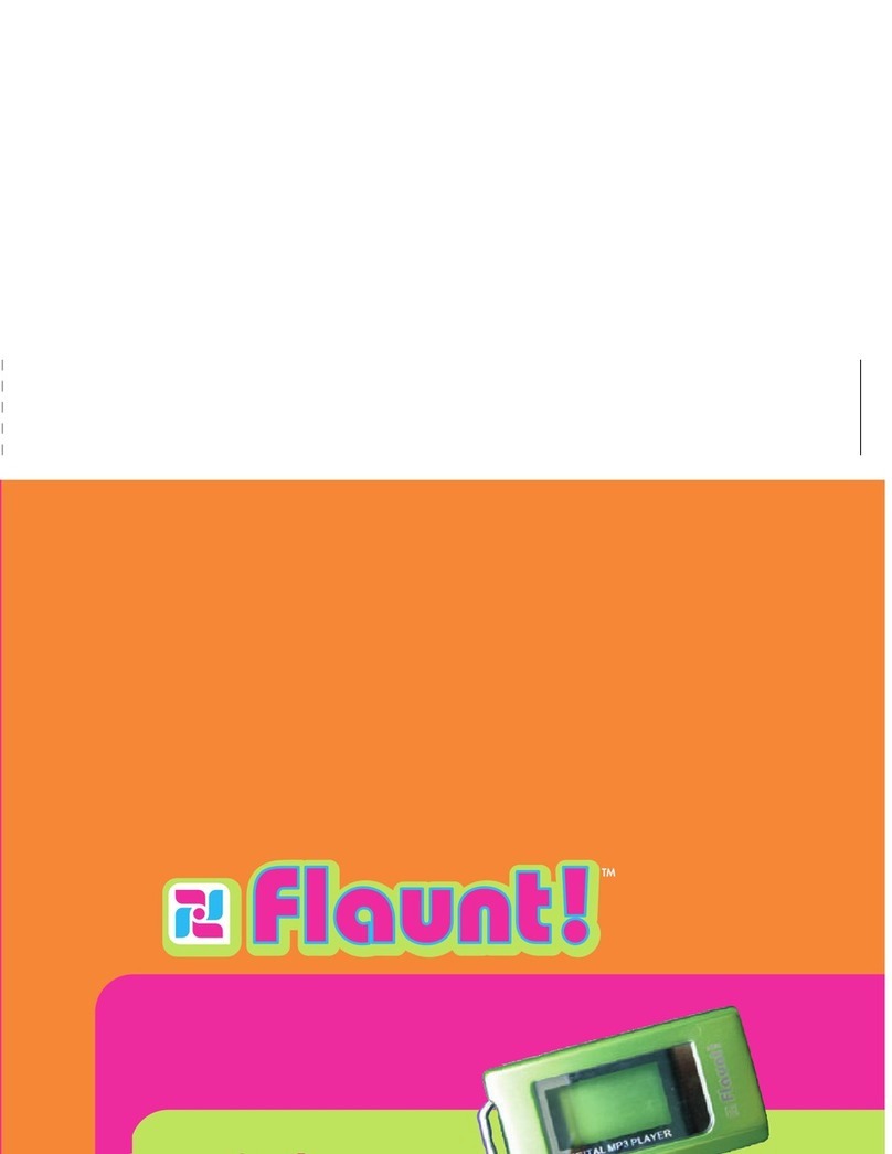 Digital Blue Flaunt DB13000 user guide