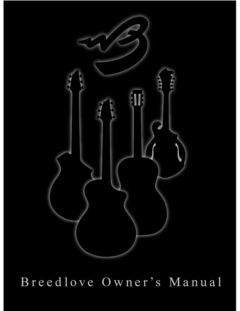 Breedlove American Series C20/SM owner's manual