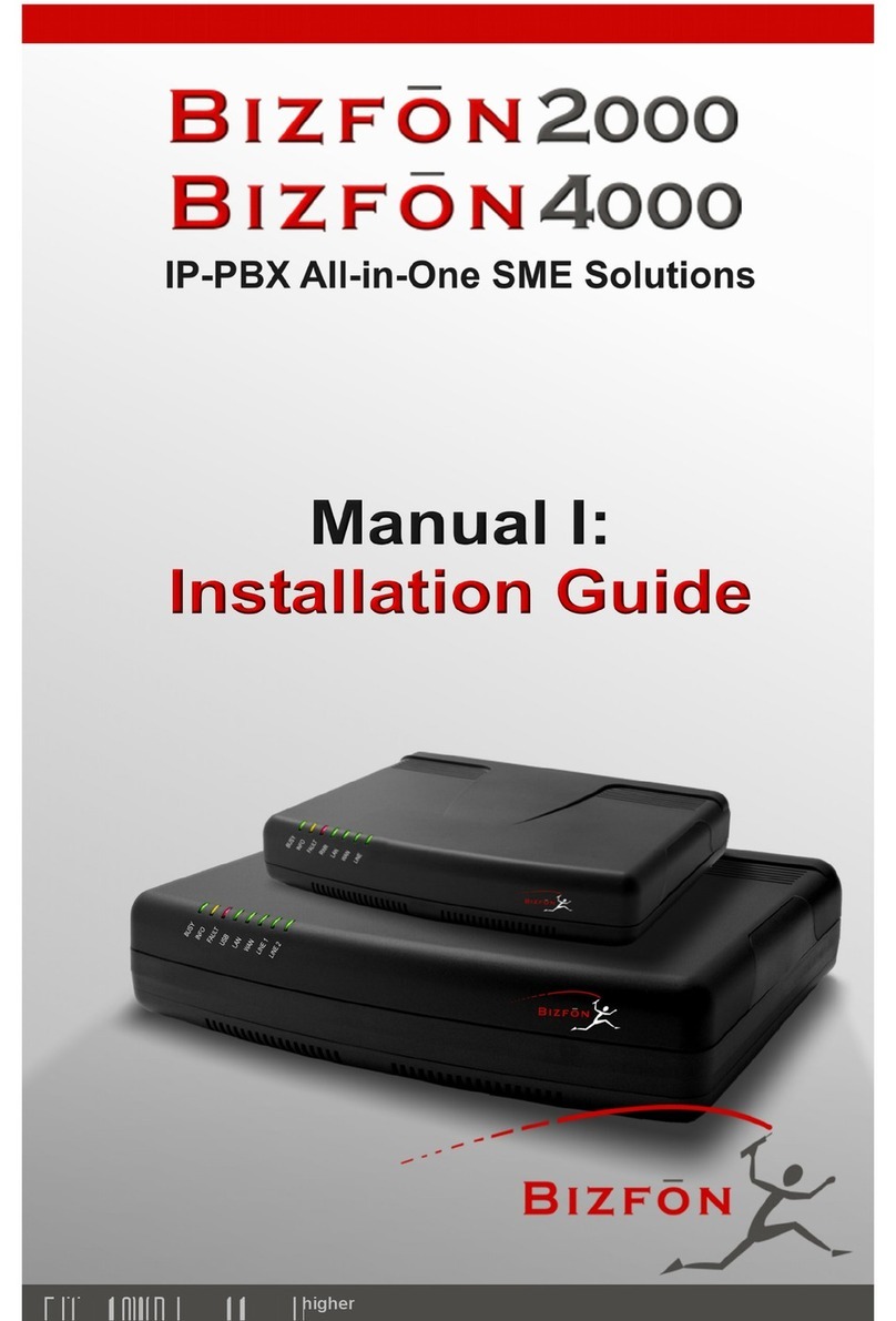 Bizfon 2000 installation guide