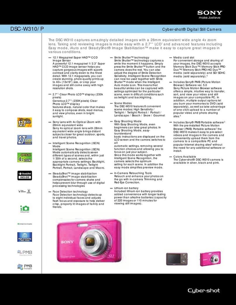 Sony DSC-W310/P User manual