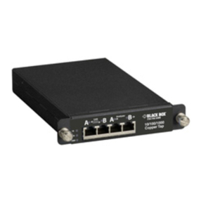 Black Box TS250A User manual