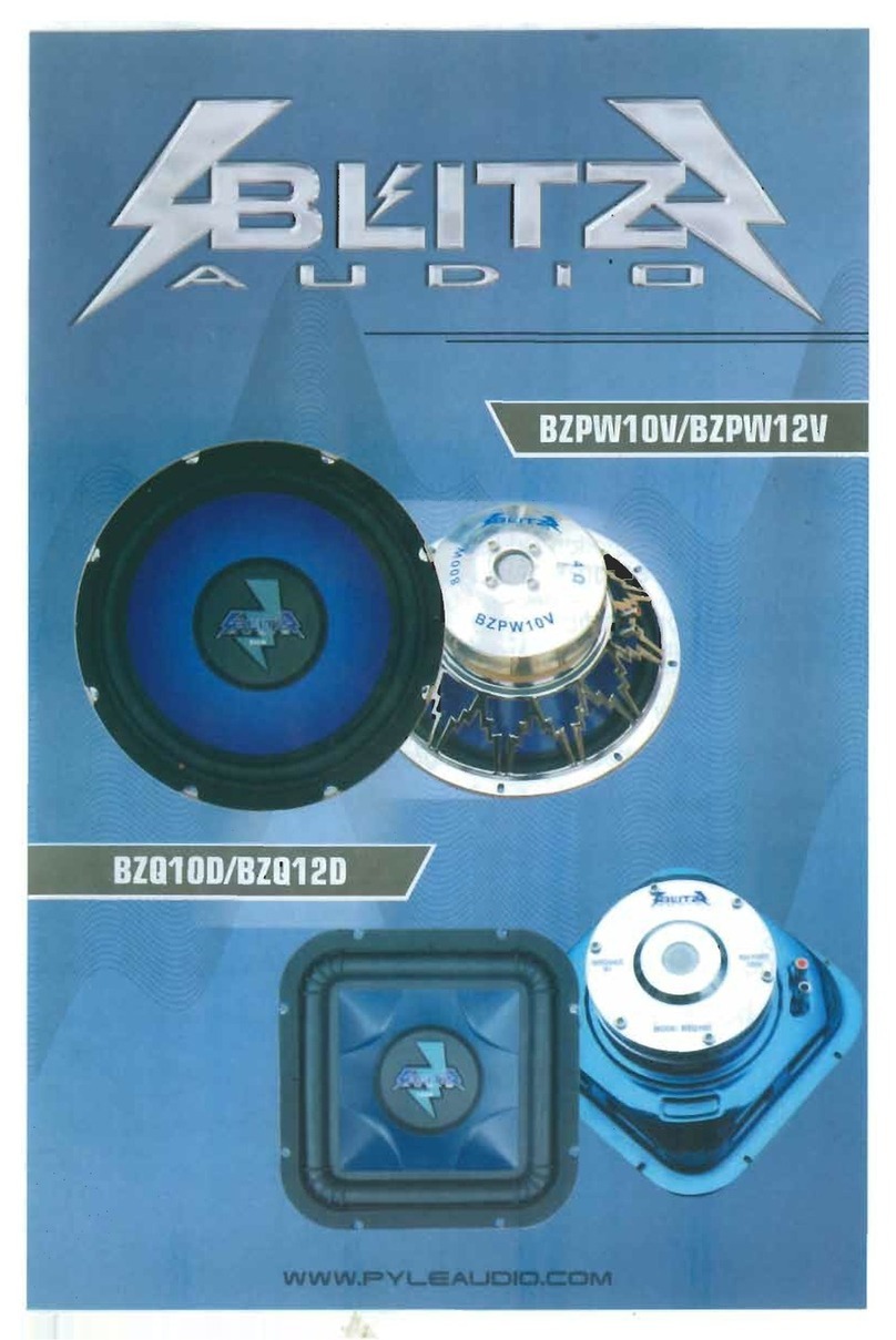 Blitz BZPW10V Specifications