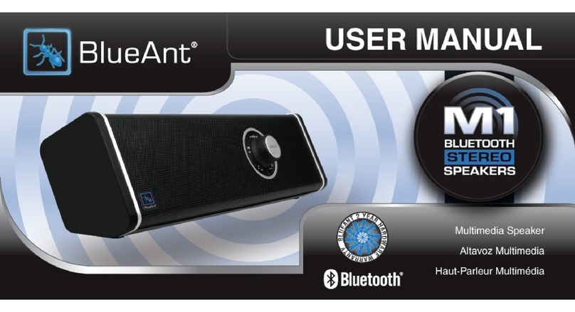 Blueant M1 user manual