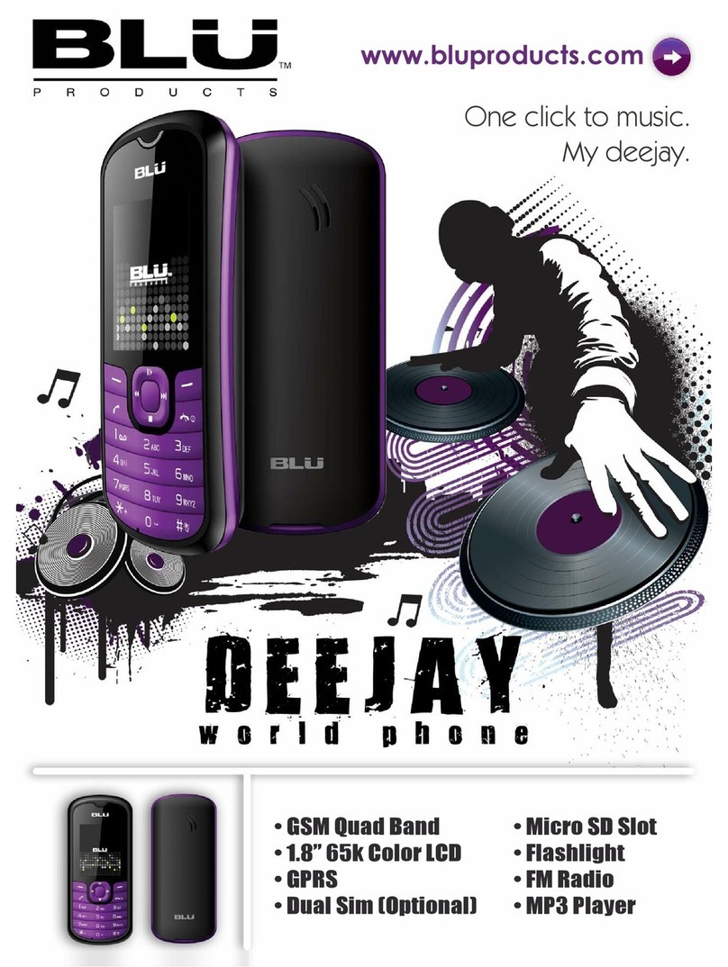 Blu Deejay User manual