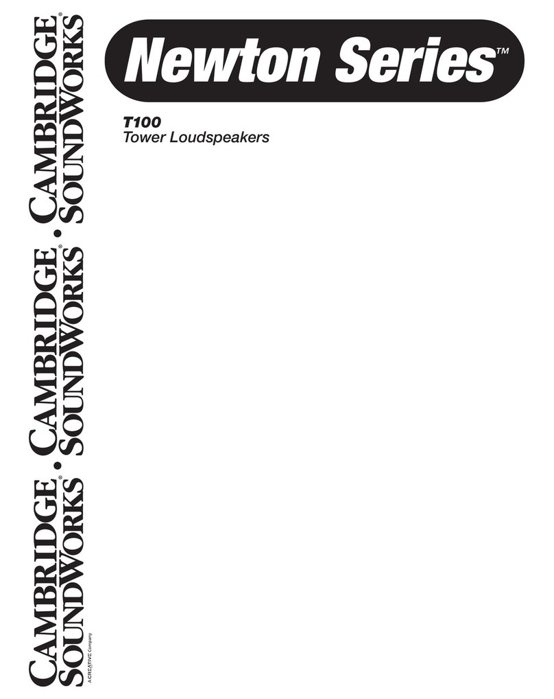 Cambridge Sound Works NEWTON T100 user guide