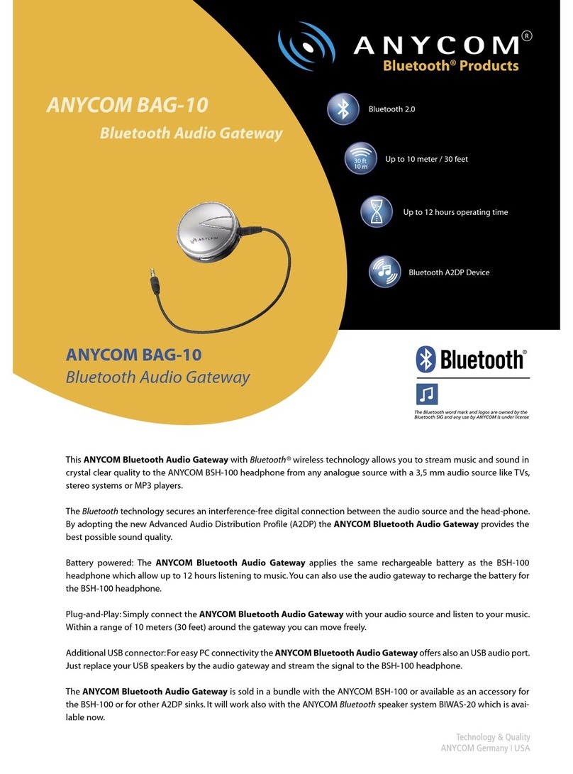 Anycom BSH-100 Specification sheet