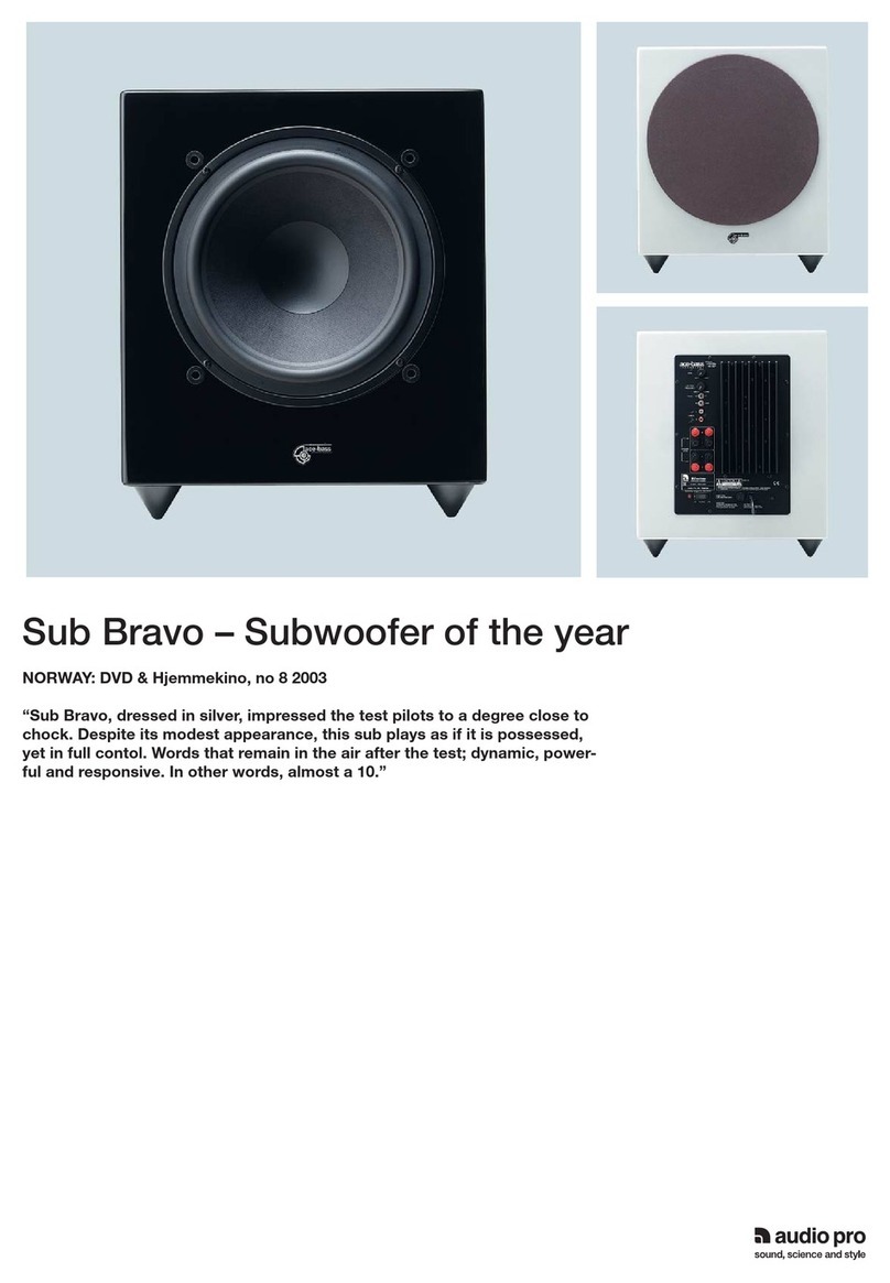 Audio Pro Sub Bravo datasheet