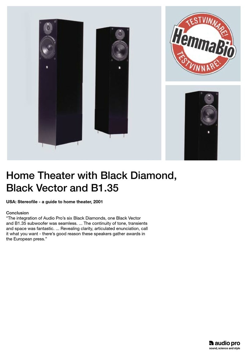 Audio Pro Black Diamond V.2 Features